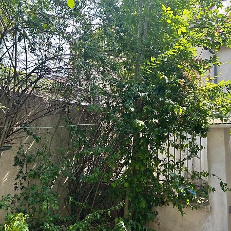 Studio3 Centre Ville Massy ماسي المظهر الخارجي الصورة