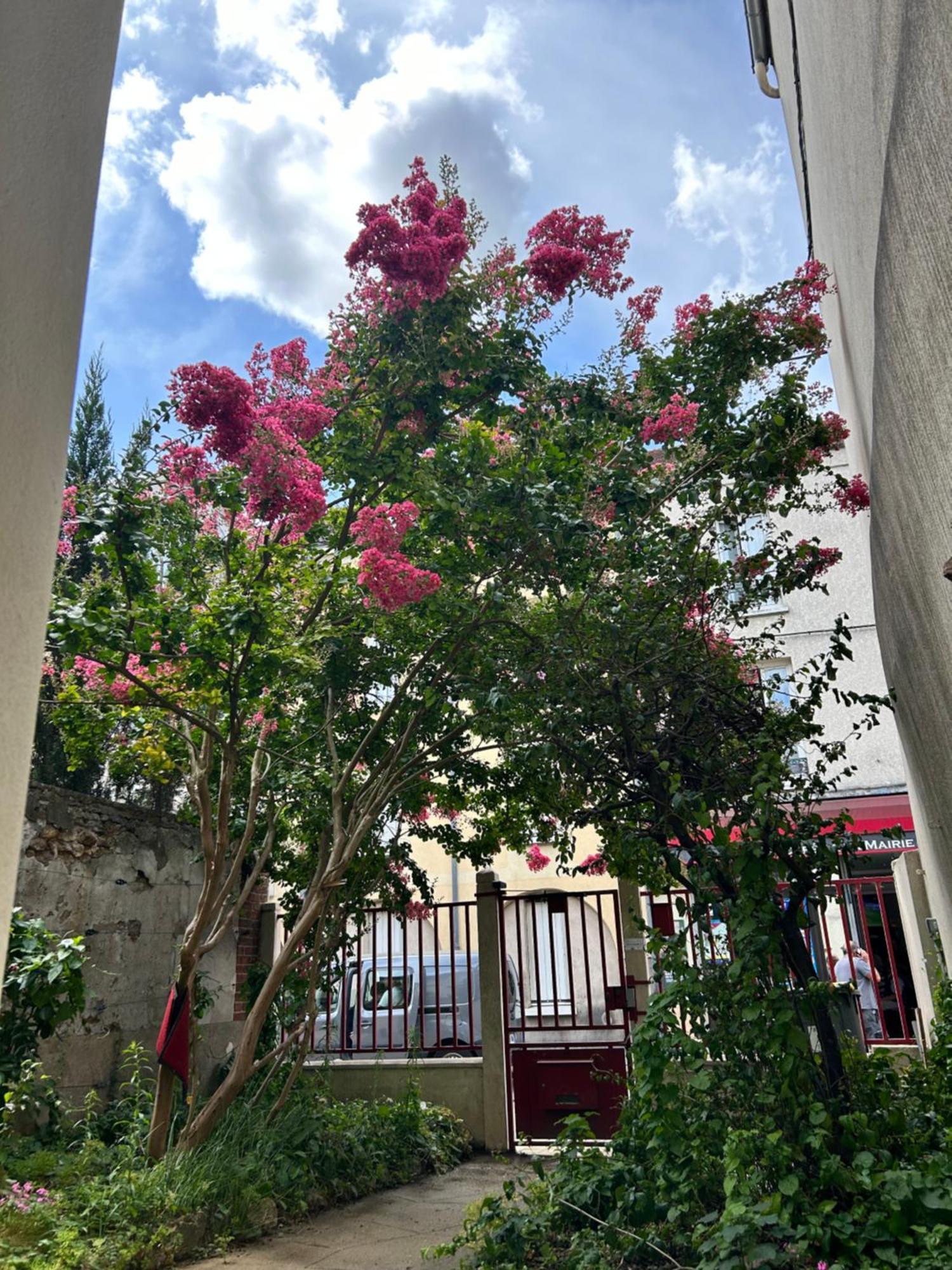 Studio3 Centre Ville Massy ماسي المظهر الخارجي الصورة